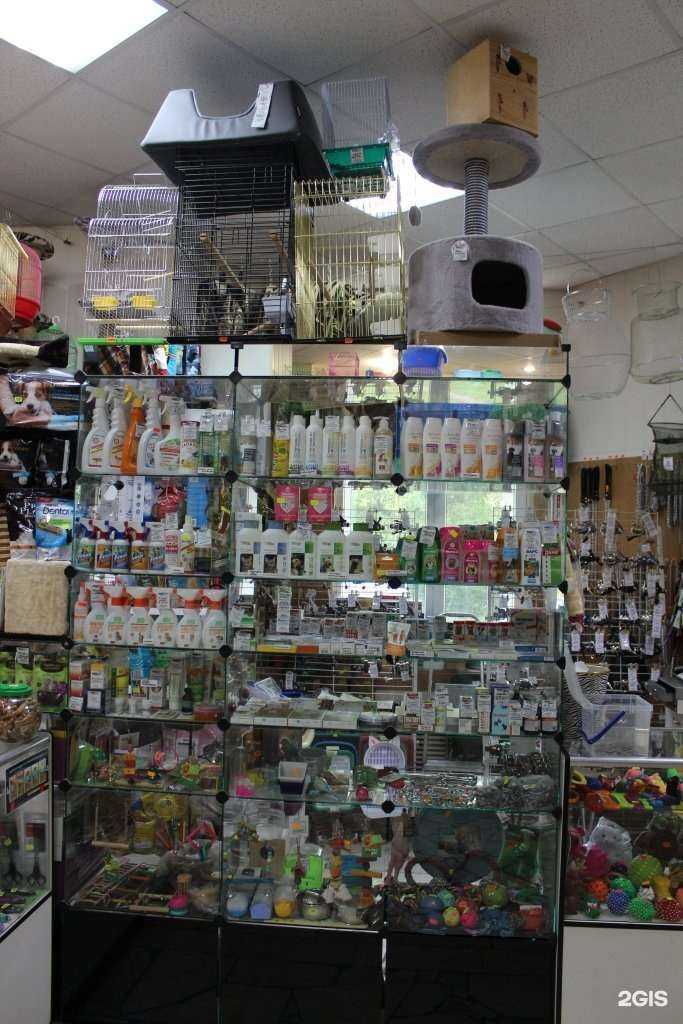 Отзывы на компанию Зоосалон в Подольске c фото