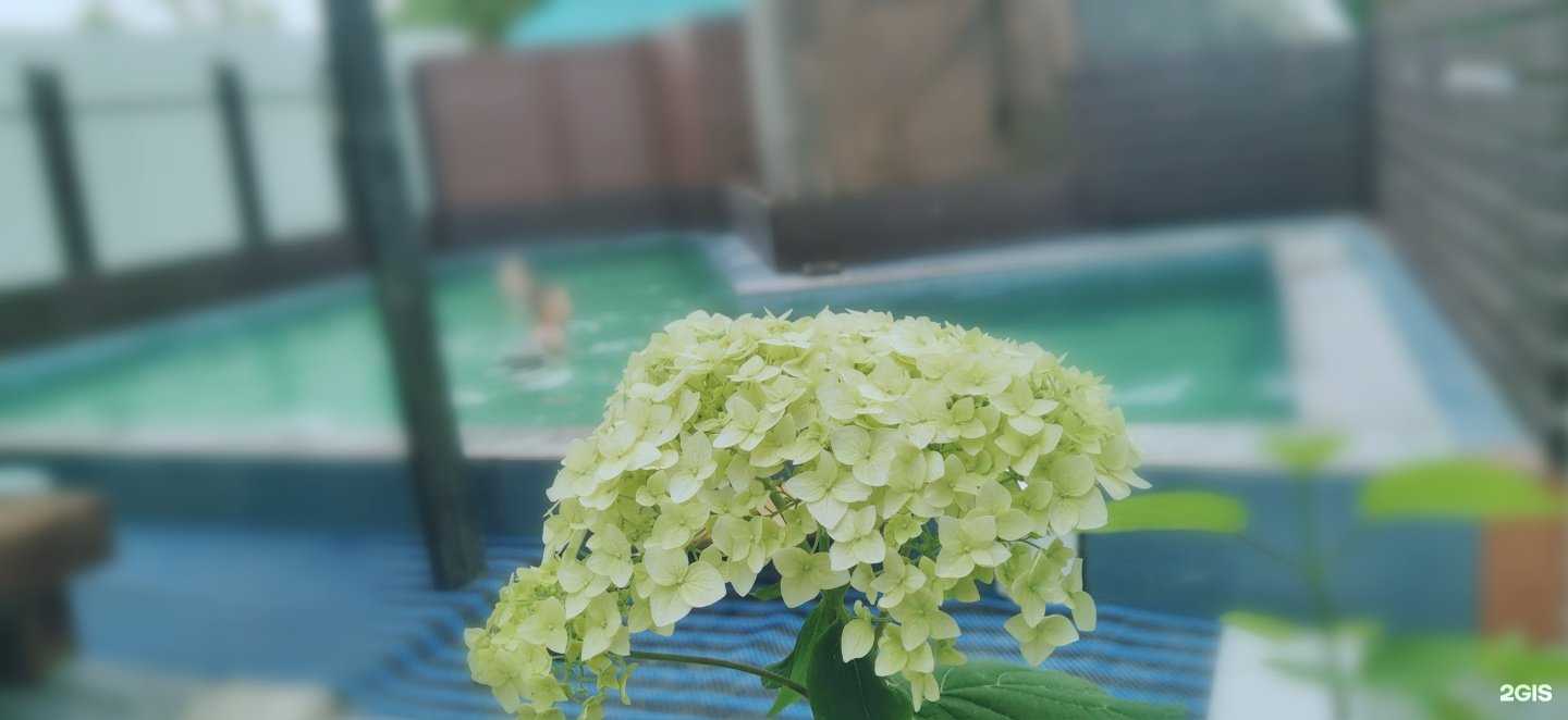 Отзывы на компанию Золотари 5+ в г. Находка c фото