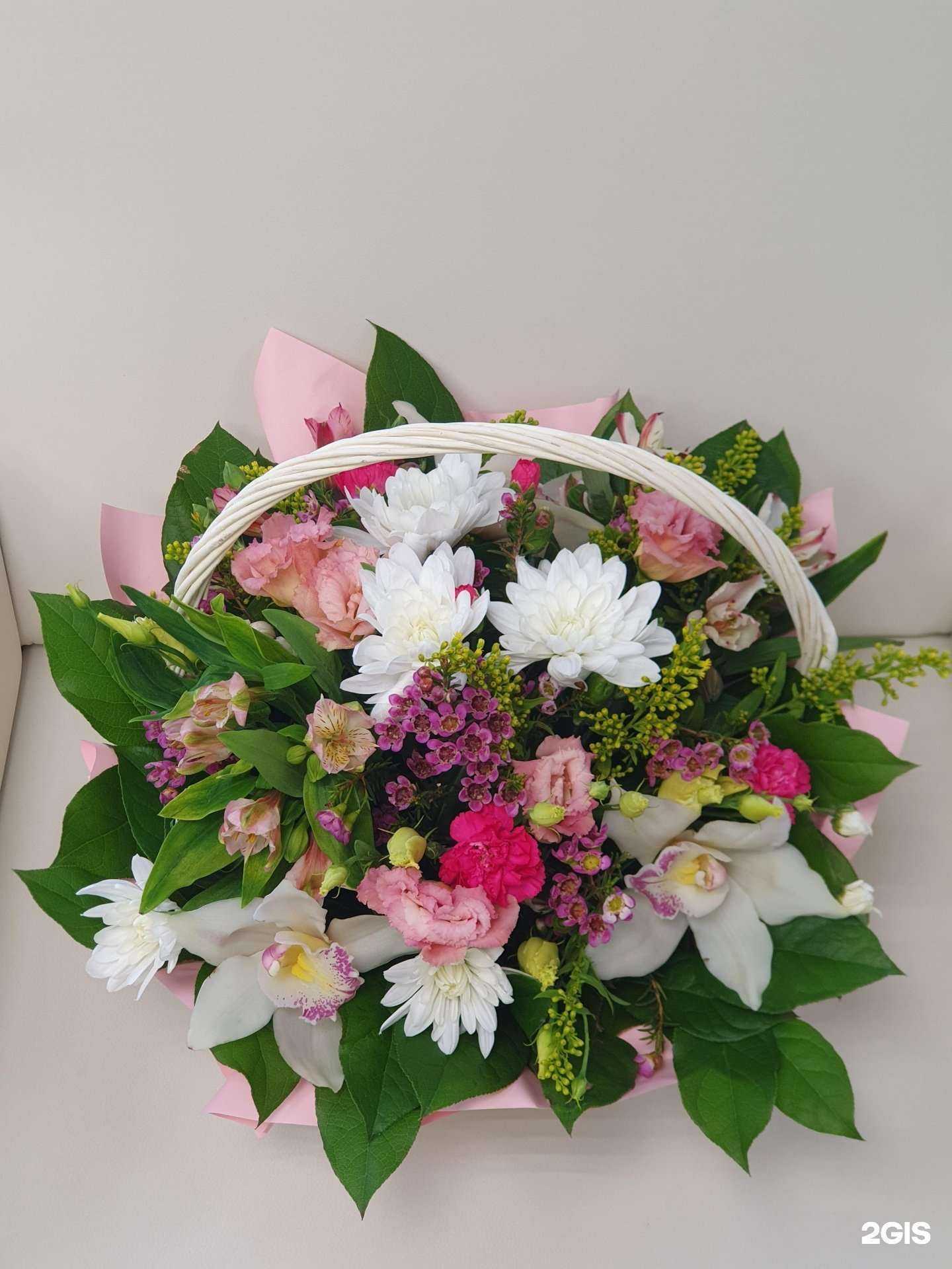 Отзывы на компанию Антуриум Tropic в Барнауле c фото