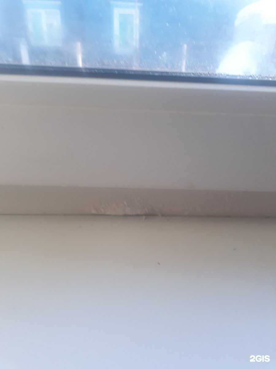 Отзывы на компанию Новопласт в Барнауле c фото