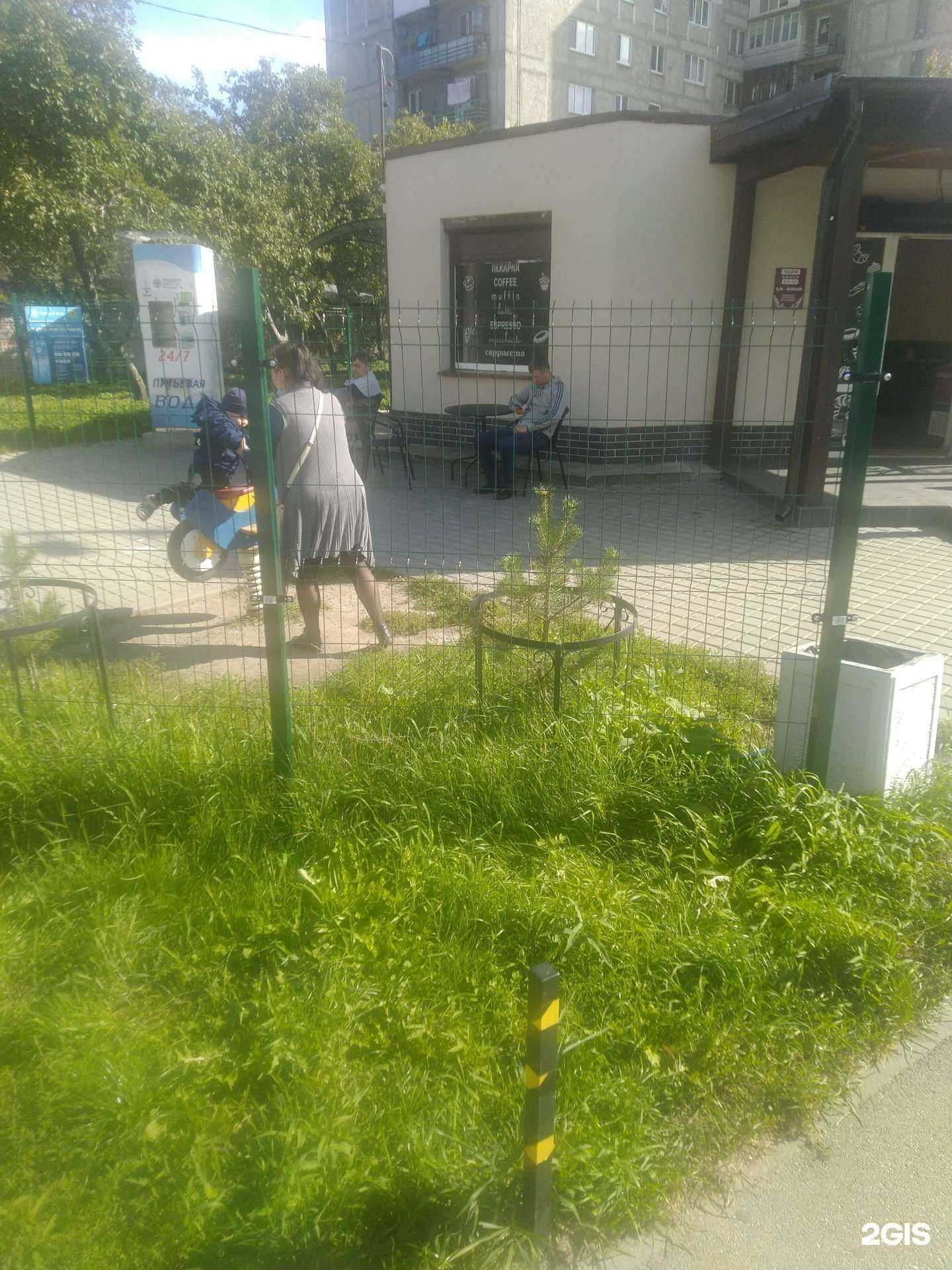 Отзывы на компанию Живая вода в Калининграде c фото