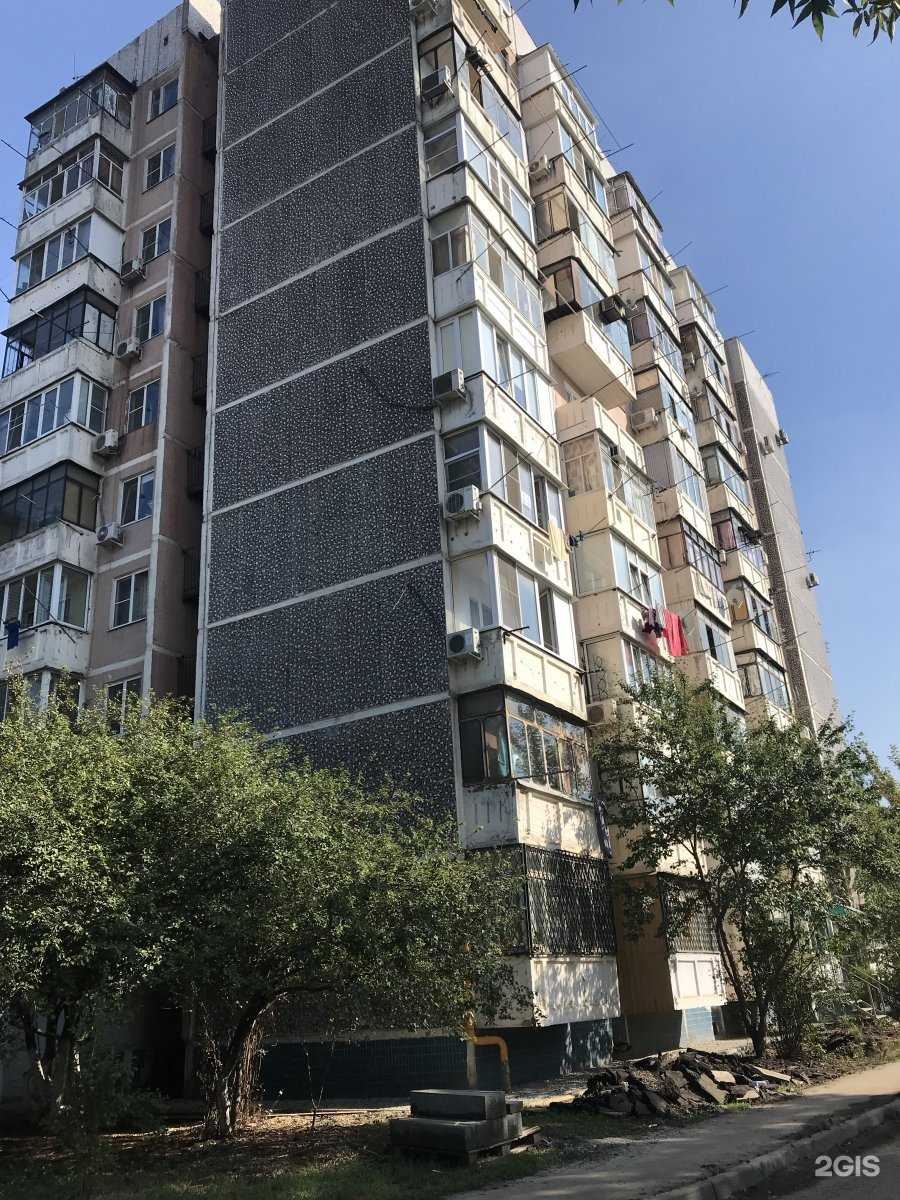 Отзывы на компанию LingoKids в Краснодаре c фото - фотография 2 из 2