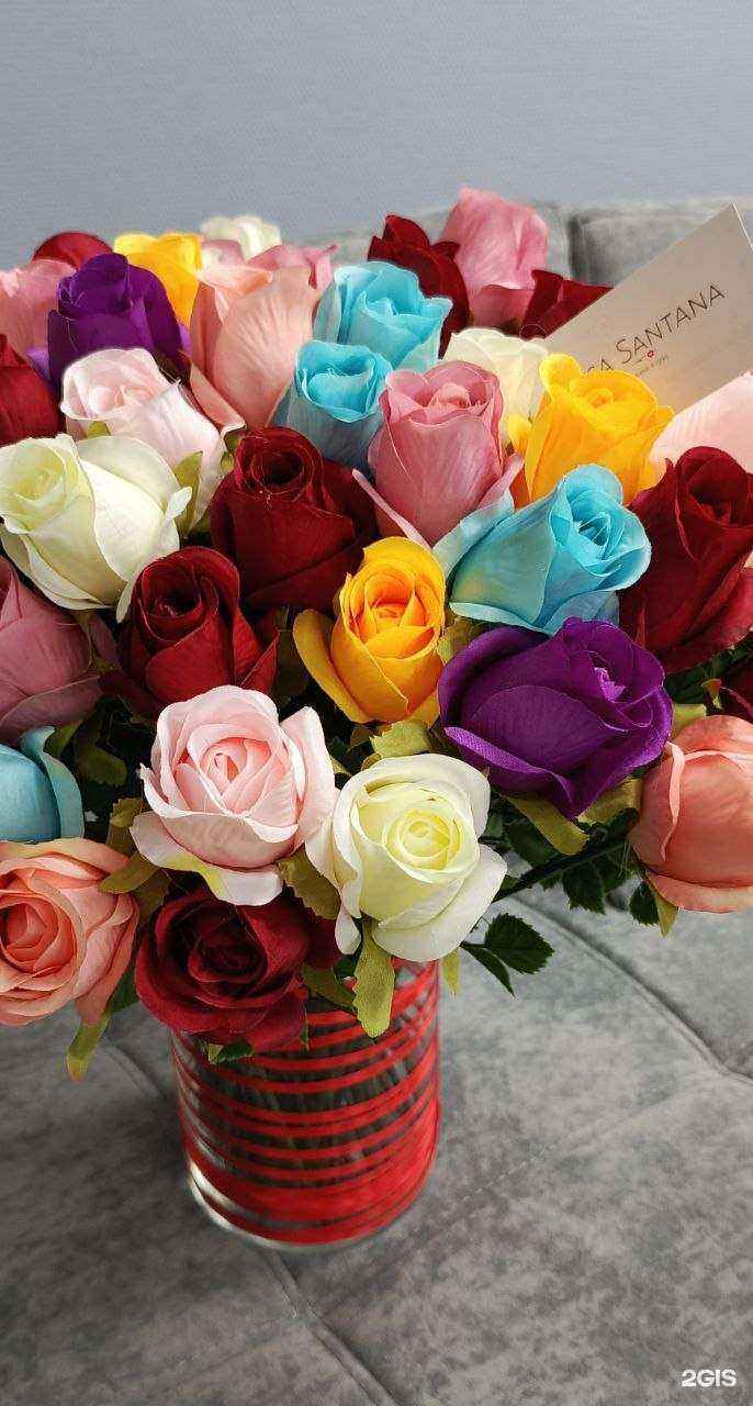 Отзывы на компанию Rosa Santana в г. Кемерово c фото