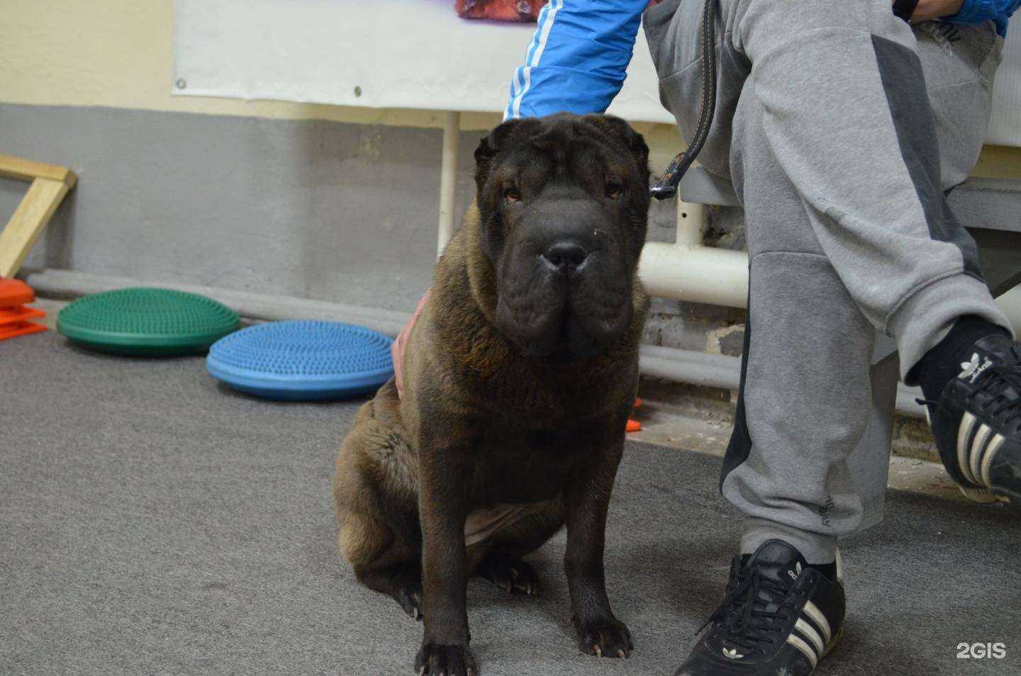 Отзывы на компанию Альтер эго в г. Томск c фото