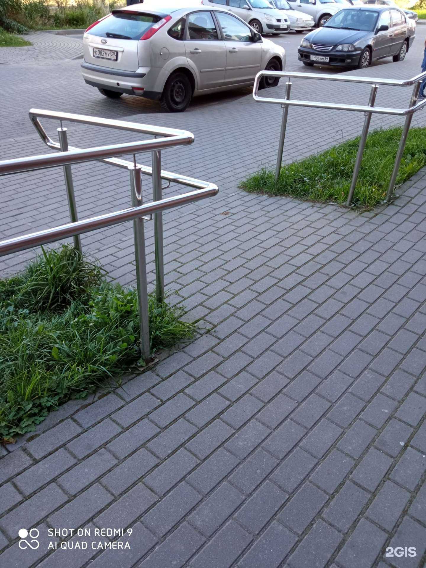 Отзывы на компанию Мир Корма в Калининграде c фото - фотография 2 из 2