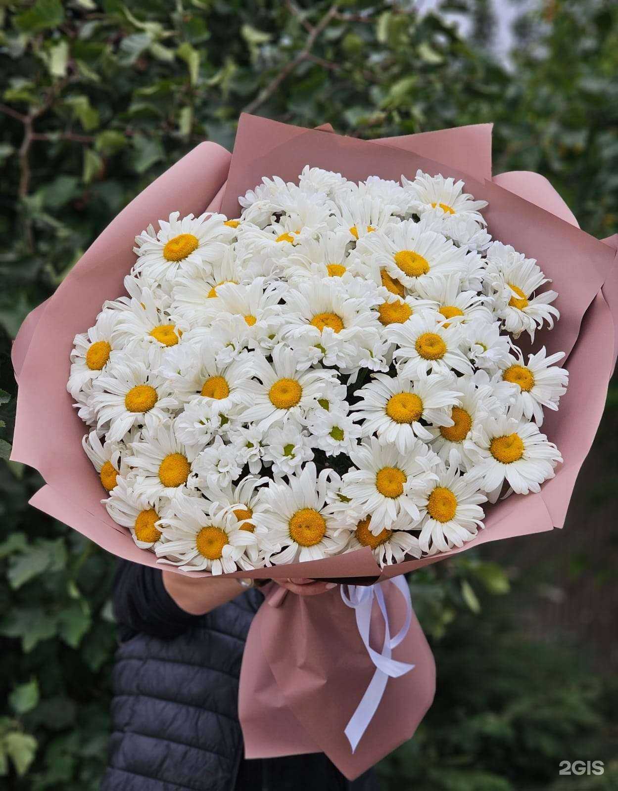 Отзывы на компанию Sofi de Mari в Воронеже c фото