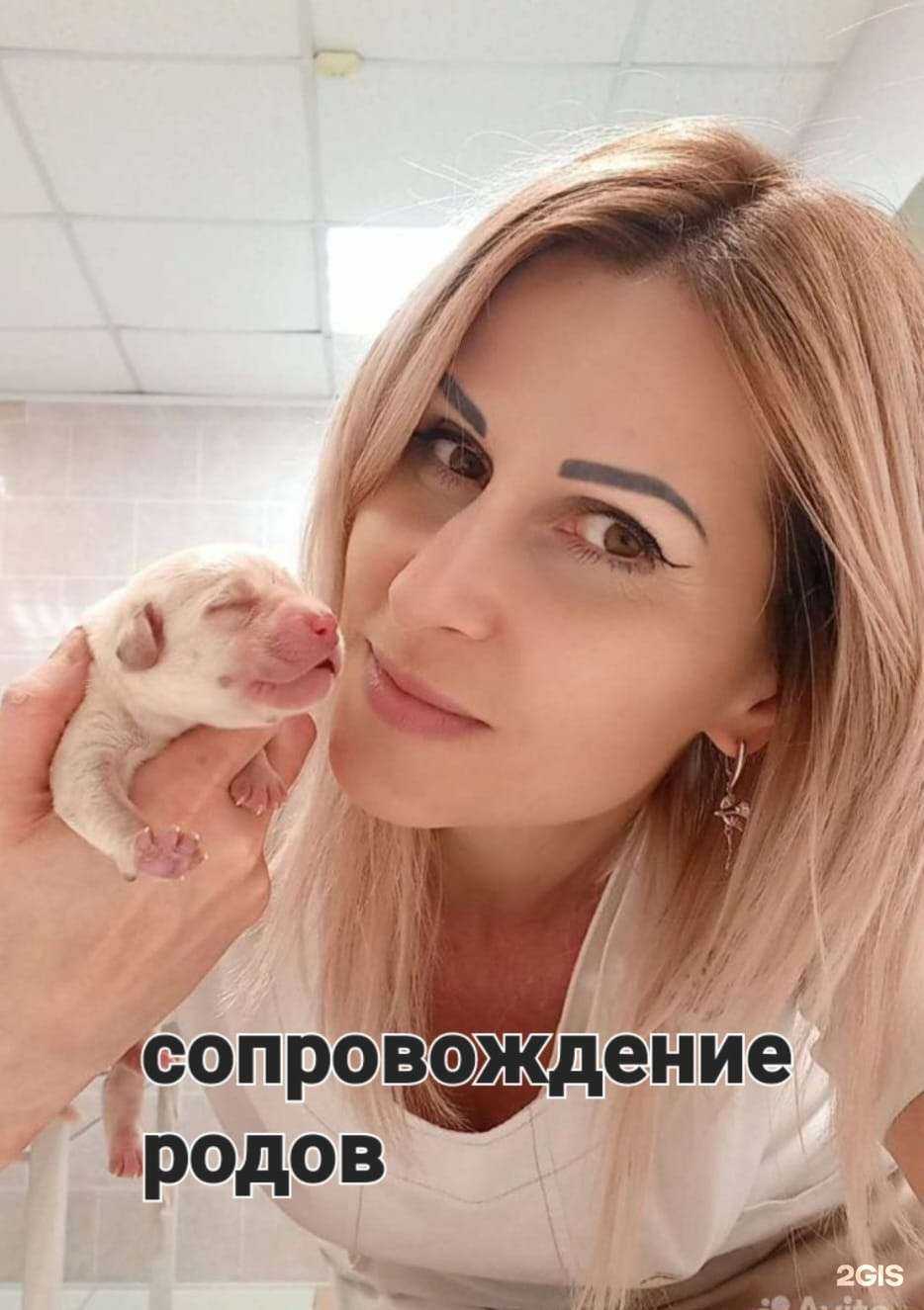 Отзывы на компанию Доктор Фламинго в Ростове-на-Дону c фото