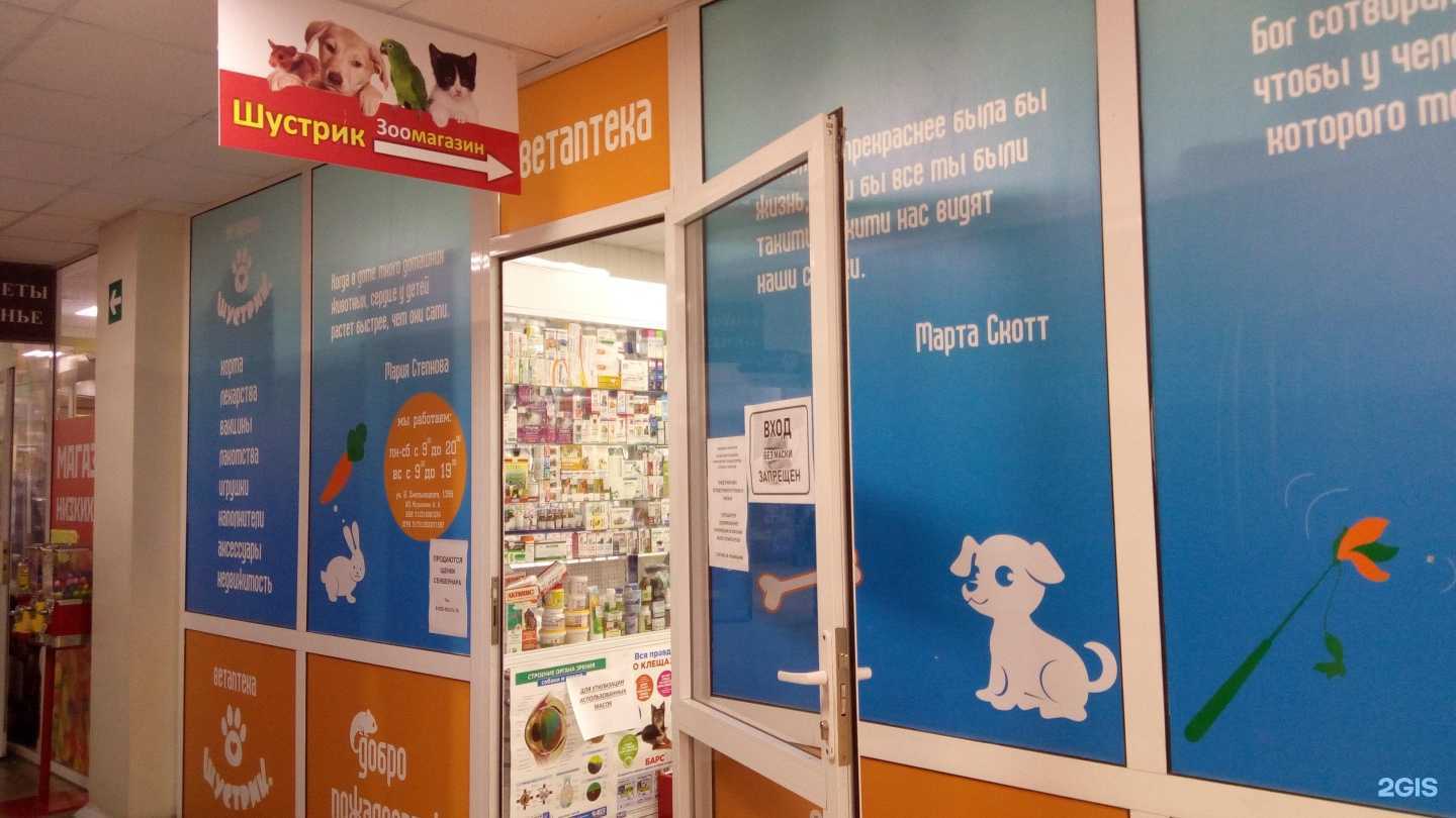 Отзывы на компанию Шустрик в г. Белгород c фото