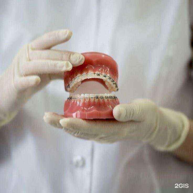 Отзывы на компанию Вита-Дент в Волгограде c фото