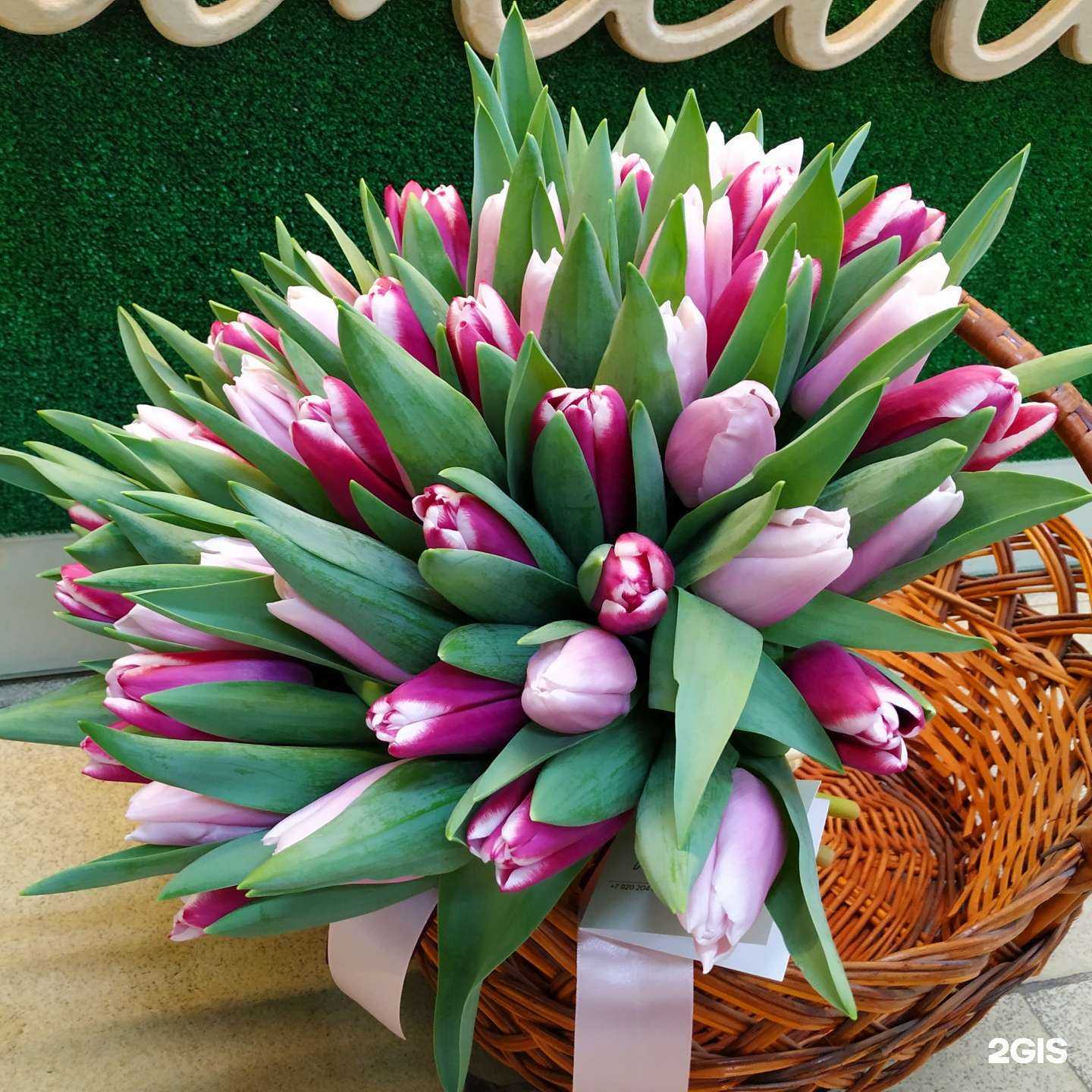 Отзывы на компанию Камелия в Белгороде c фото