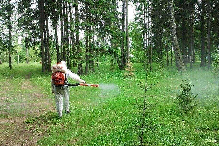 Отзывы на компанию СЭС Чистый город в г. Саранск c фото