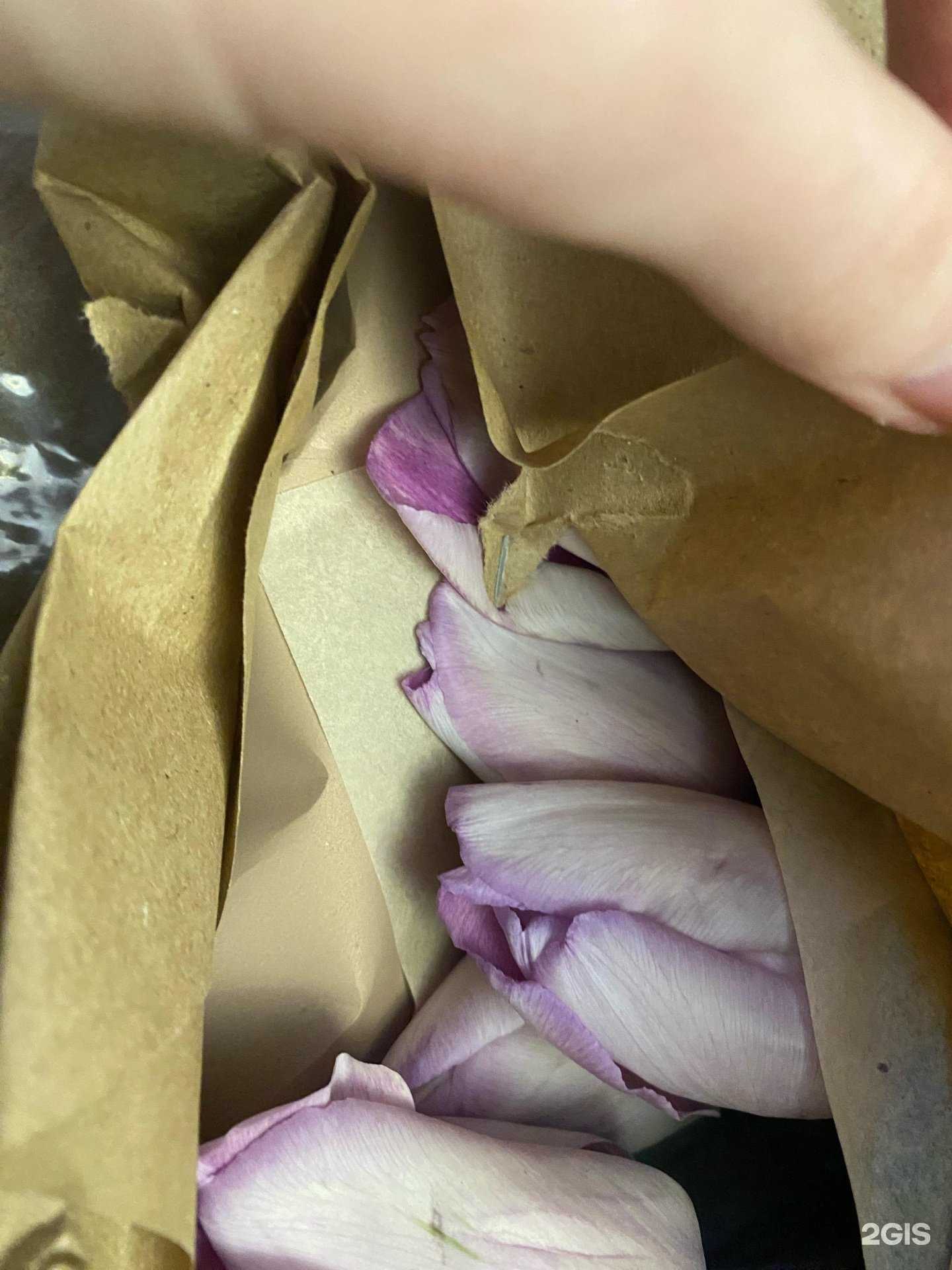 Отзывы на компанию Alim Flowers в г. Махачкала c фото