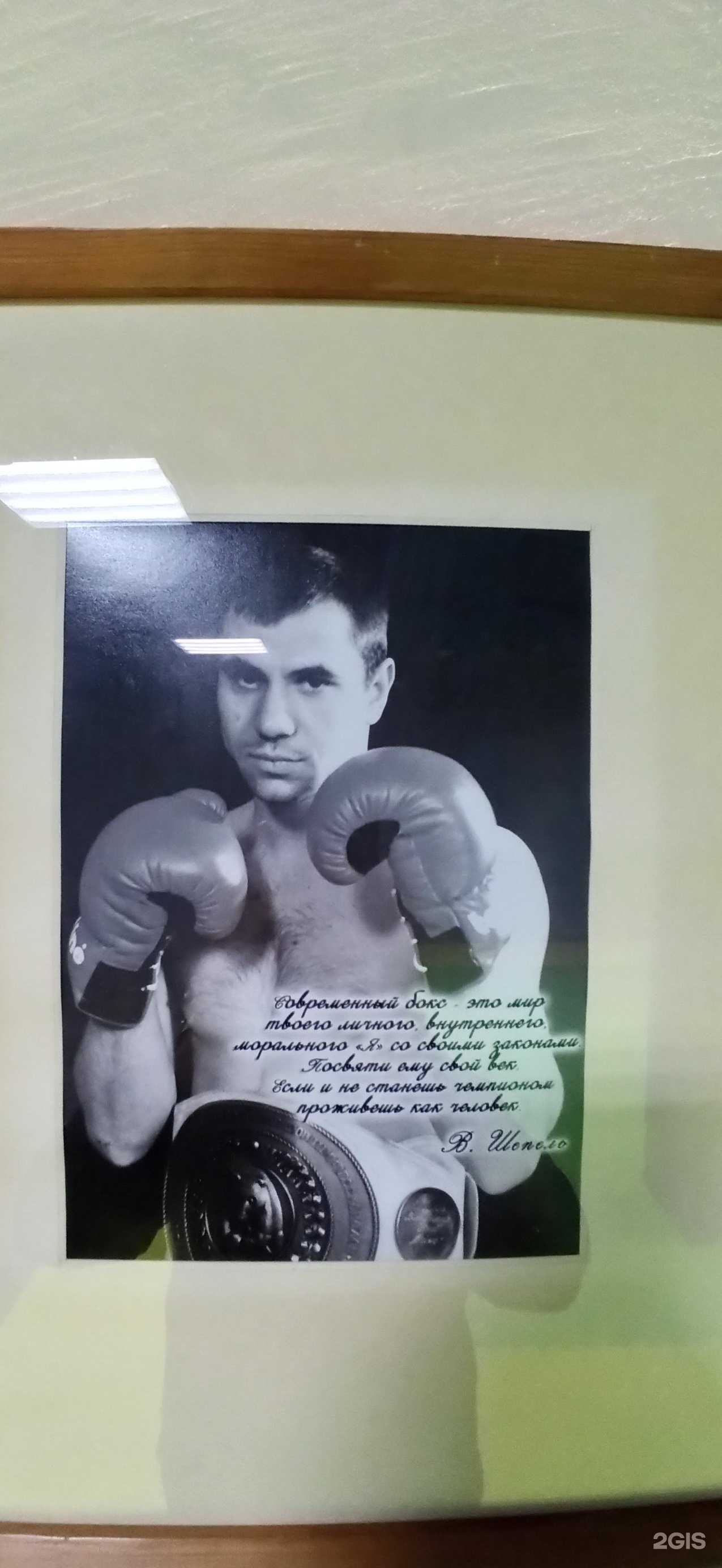 Отзывы на компанию Академия бокса и кикбоксинга им. Шепель В.В. в Ростове-на-Дону c фото