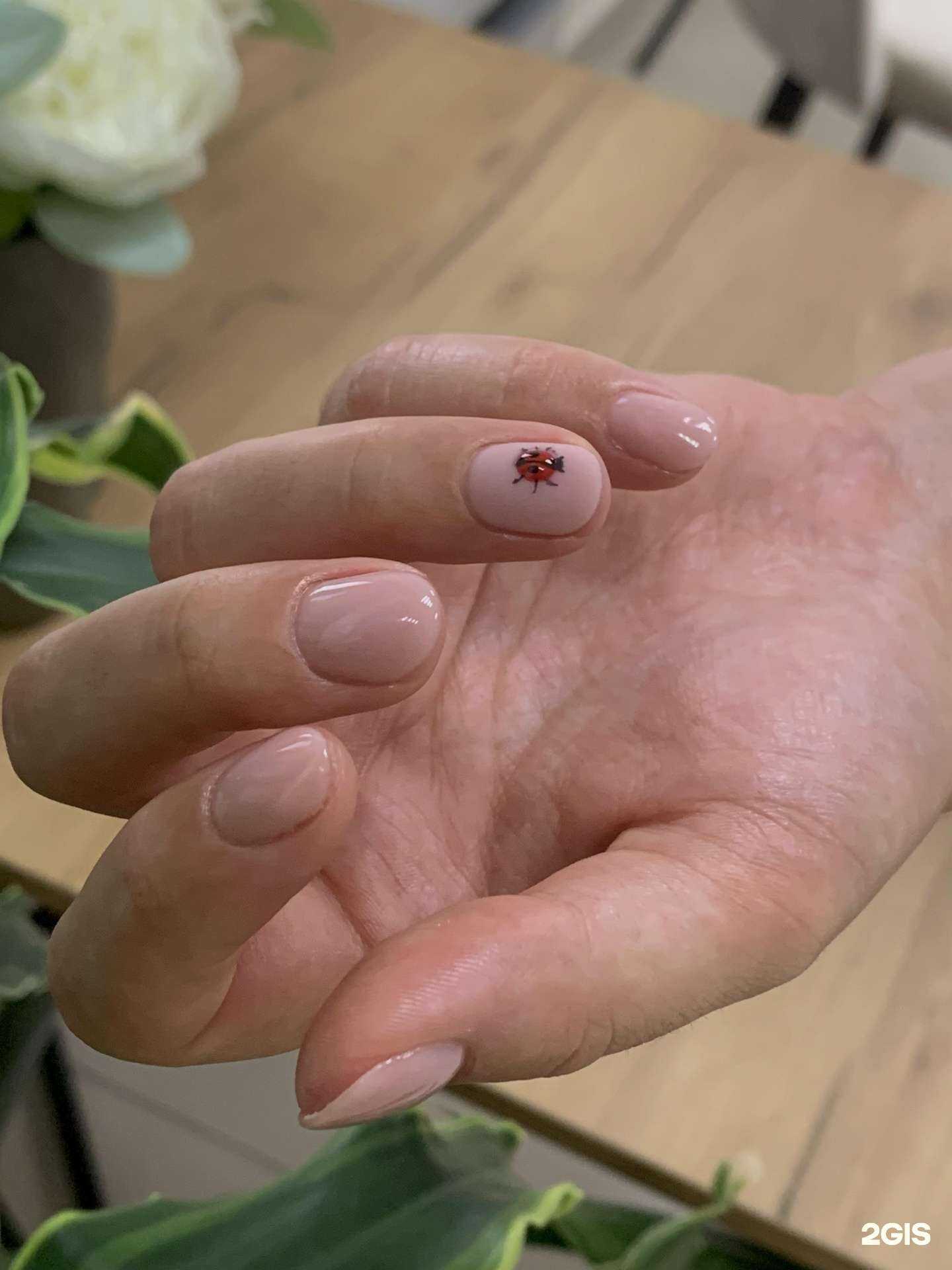 Отзывы на компанию Lovely nails в Великом Новгороде c фото