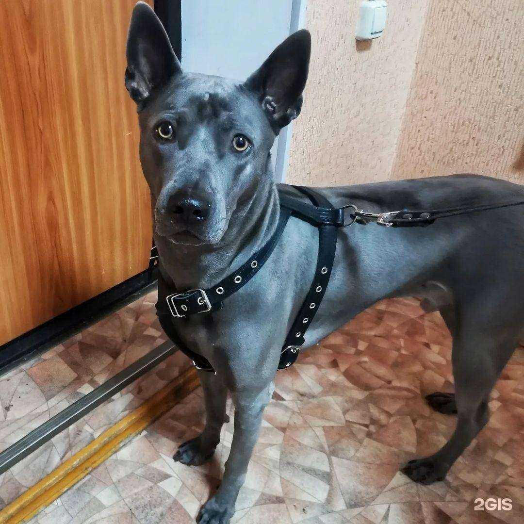 Отзывы на компанию ВетПлюс в Вологде c фото