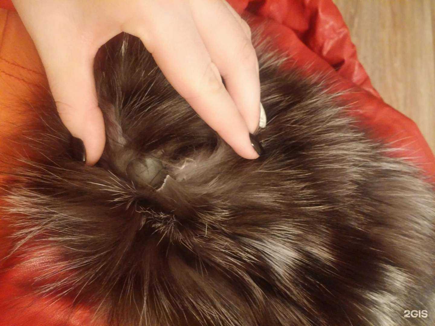 Отзывы на компанию Мистер чисто в г. Красноярск c фото