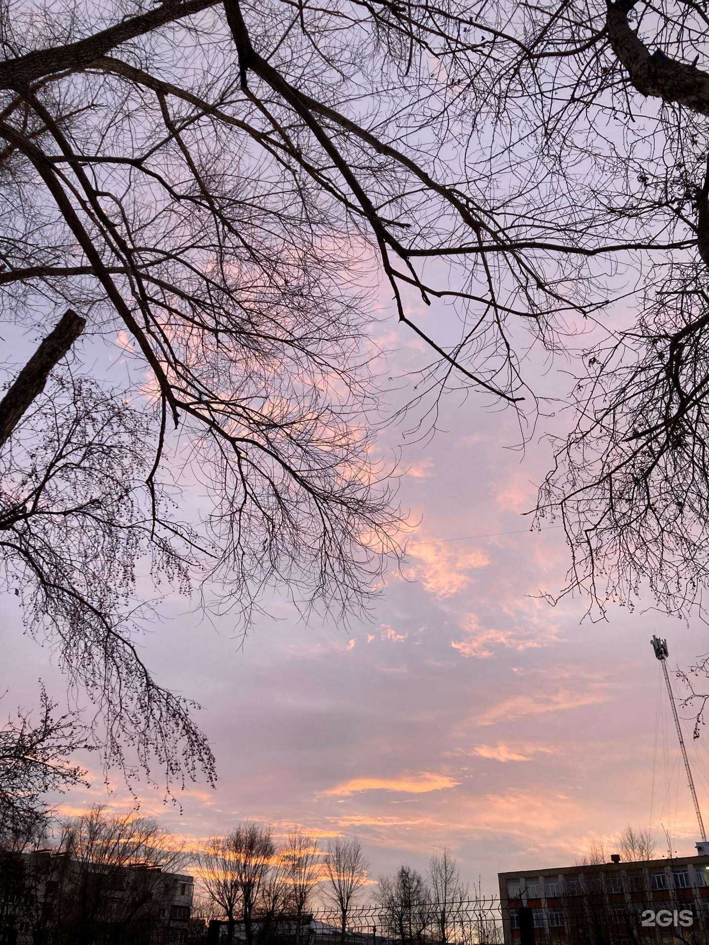 Отзывы на компанию Средняя школа №12 в Челябинске c фото