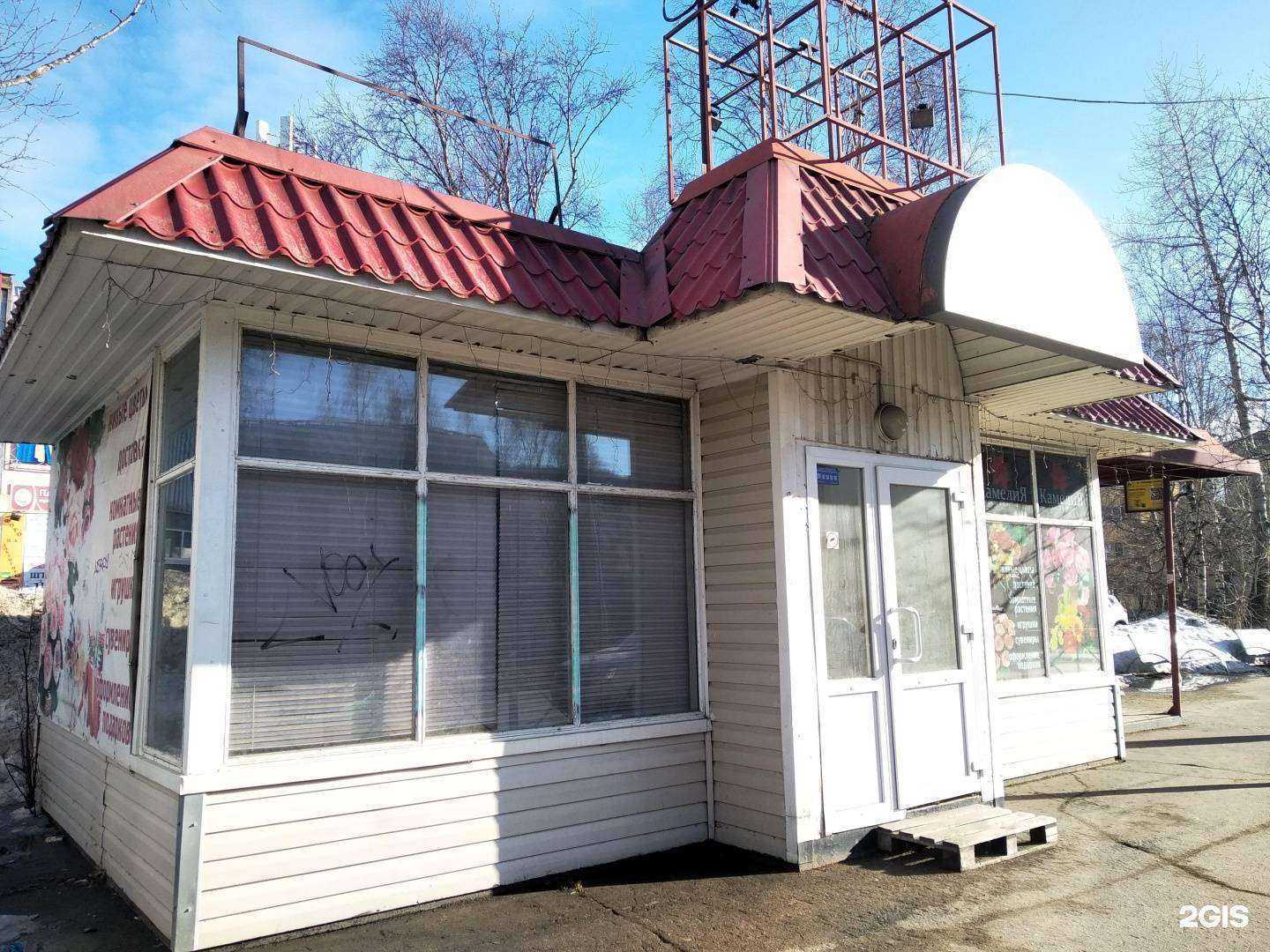 Отзывы на компанию Цветочный кот в г. Архангельск c фото