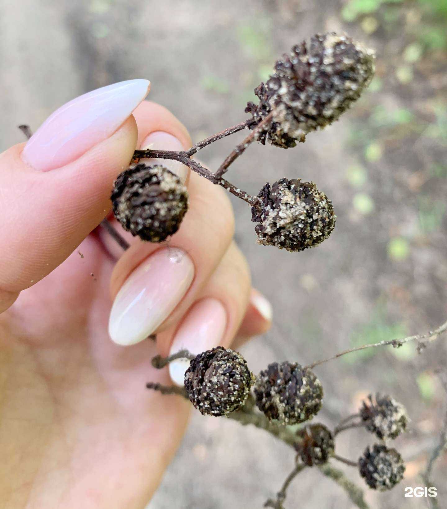 Отзывы на компанию Che studio в Нижнем Новгороде c фото