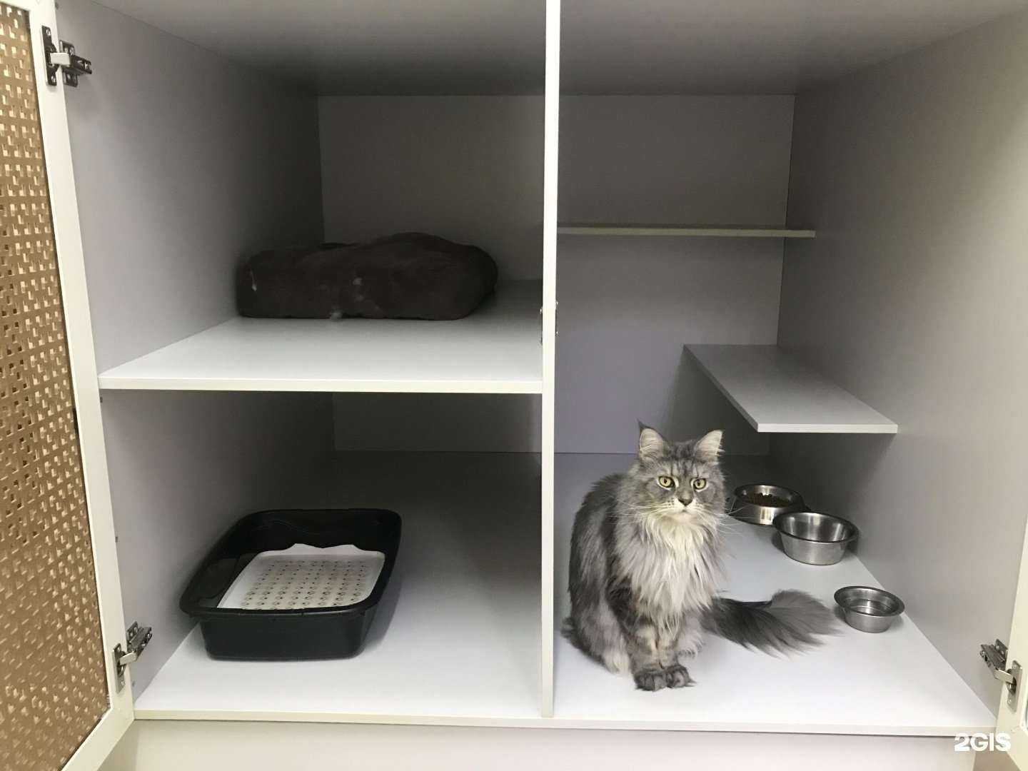 Отзывы на компанию Пушистый дворик в г. Казань c фото