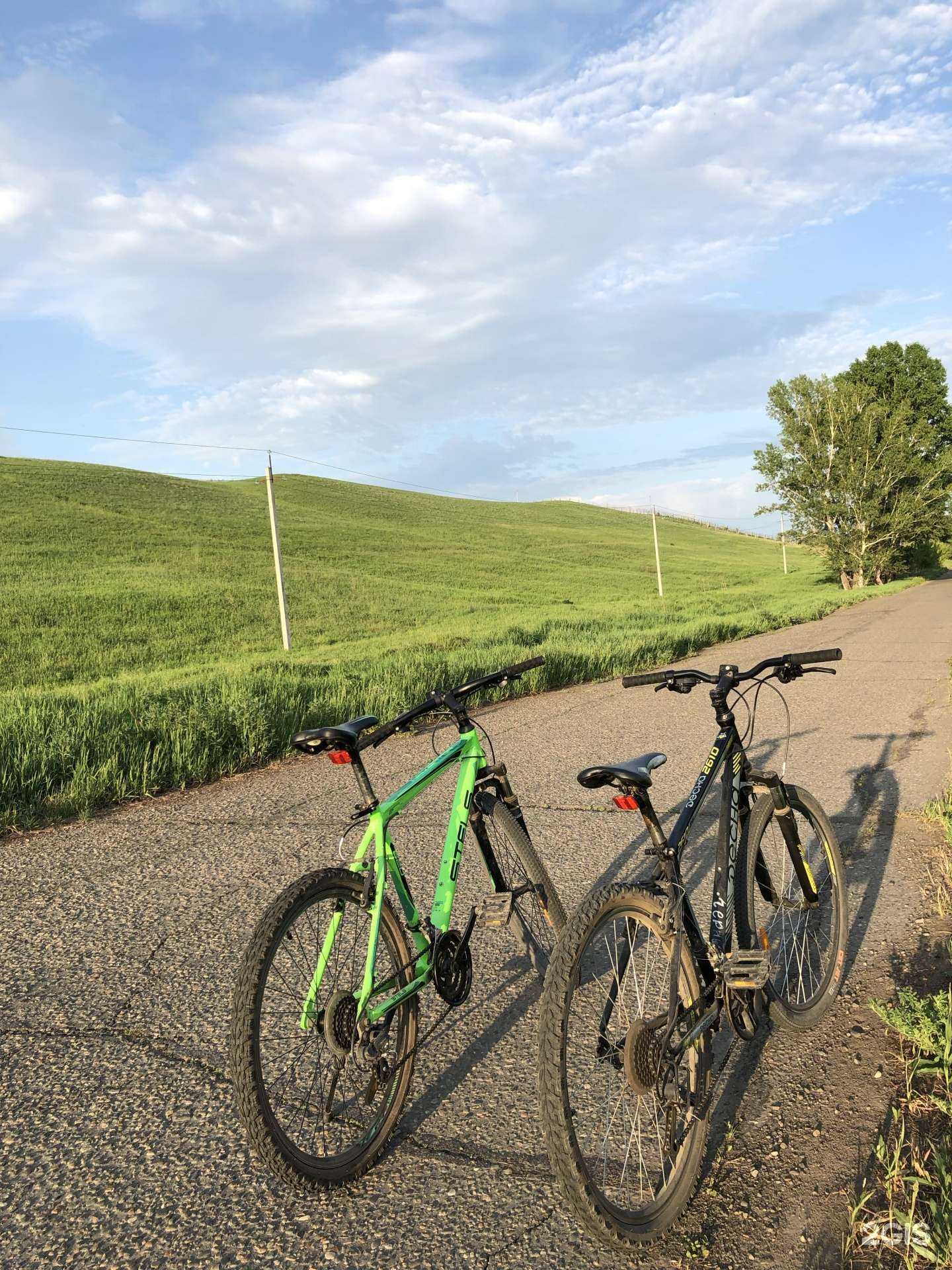 Отзывы на компанию Altaykart в г. Бийск c фото