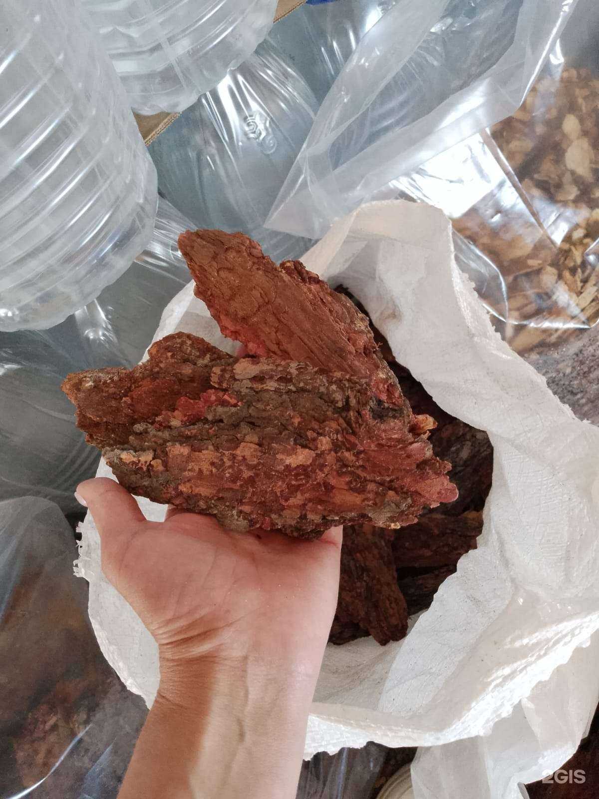 Отзывы на компанию Лесной рынок в Оренбурге c фото