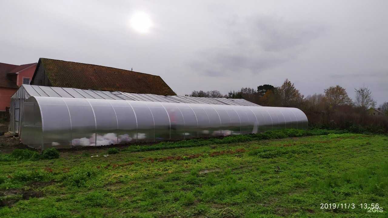 Отзывы на компанию Воля в Калининграде c фото