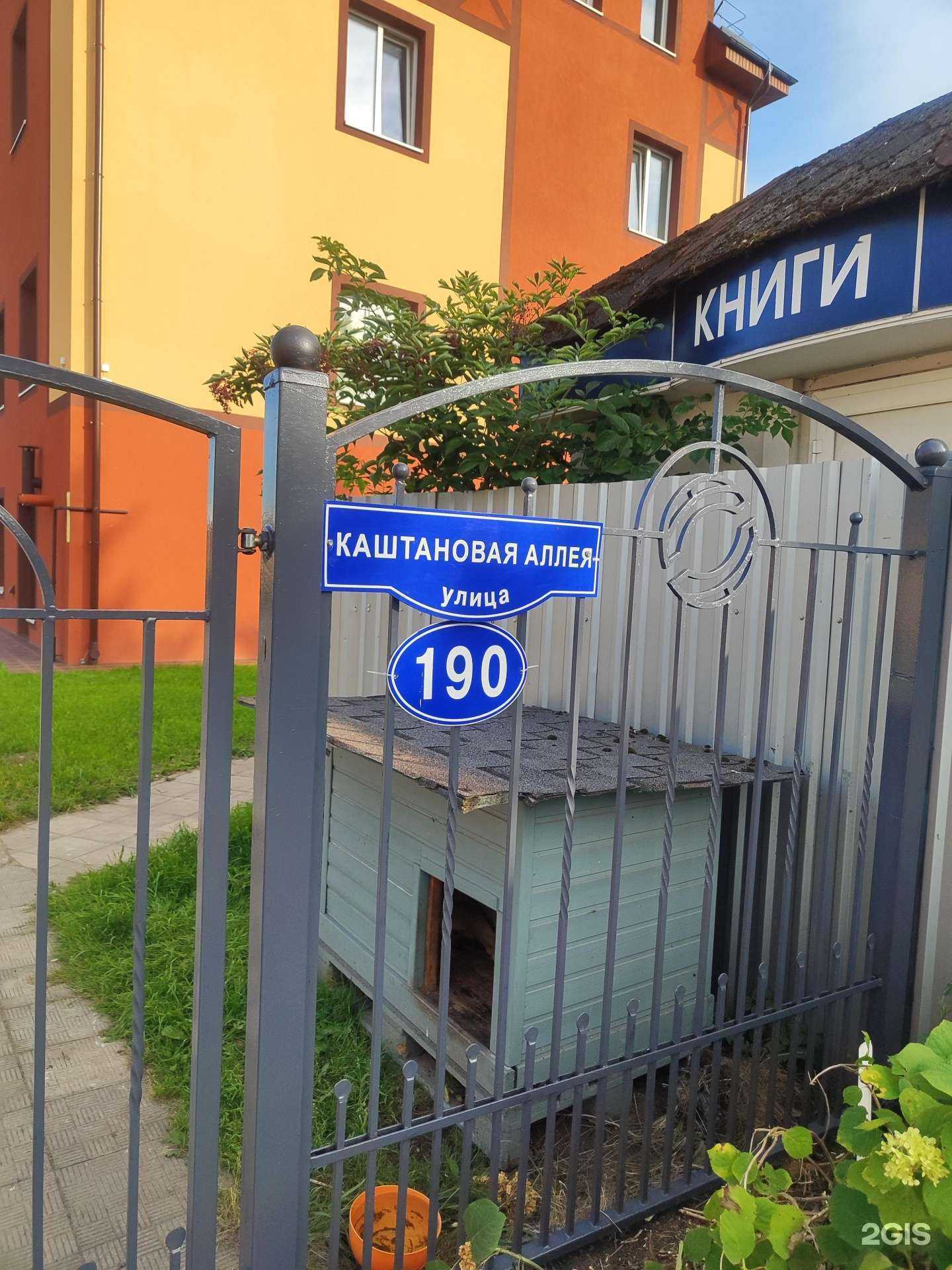 Отзывы на компанию Step up в г. Калининград c фото