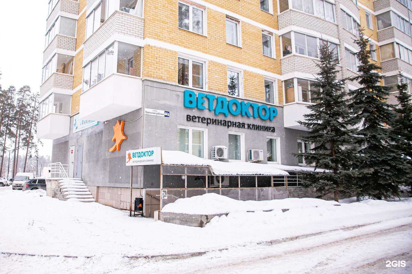 Отзывы на компанию Ветдоктор в Верхней Пышме c фото