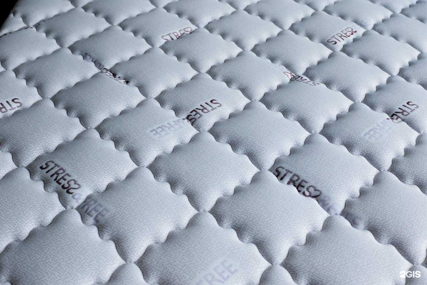 Отзывы на компанию Ref` в Новосибирске c фото