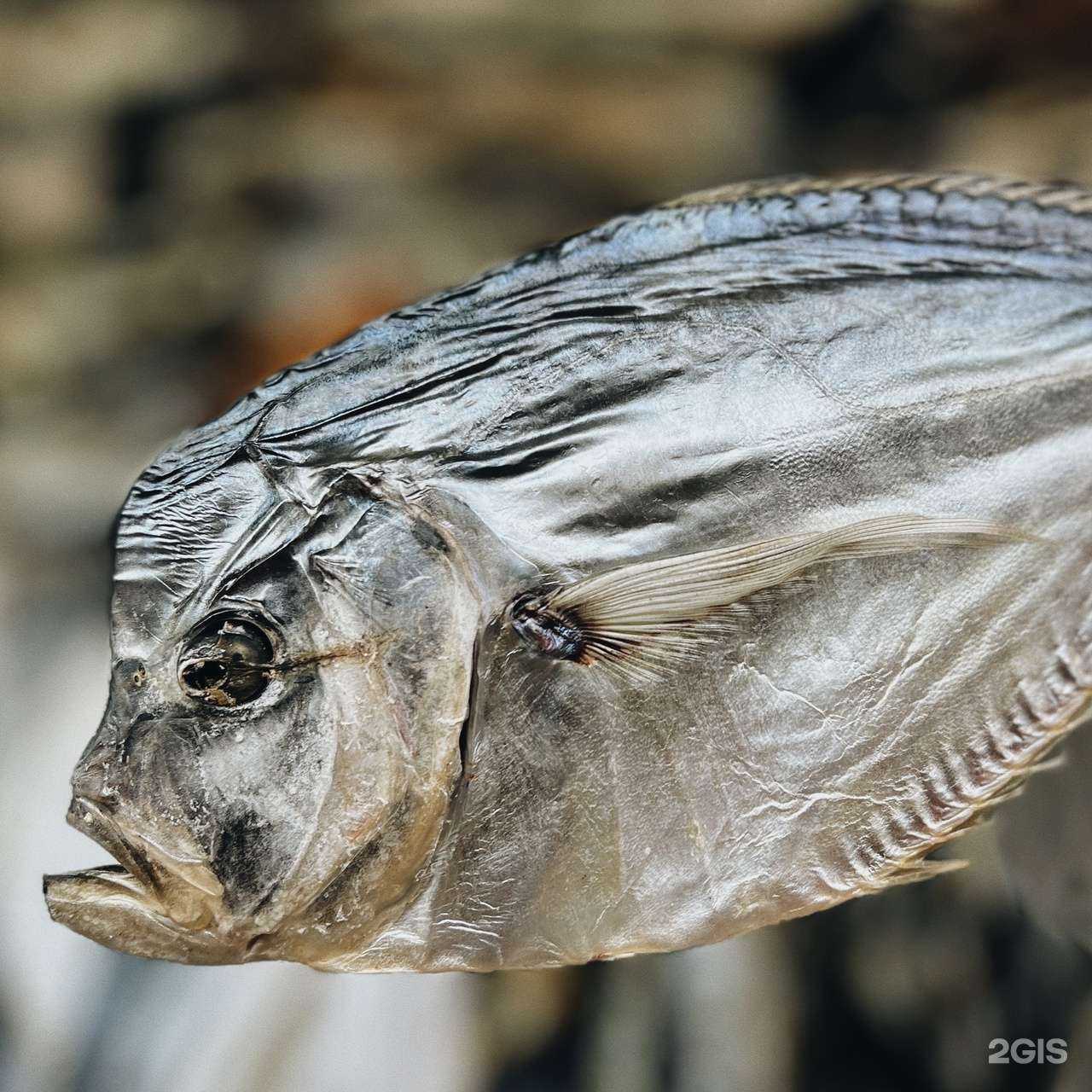 Отзывы на компанию Рыбникoff в Оренбурге c фото