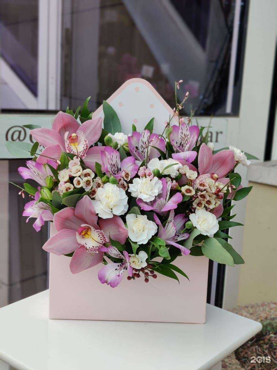 Отзывы на компанию Орхидея в г. Краснодар c фото