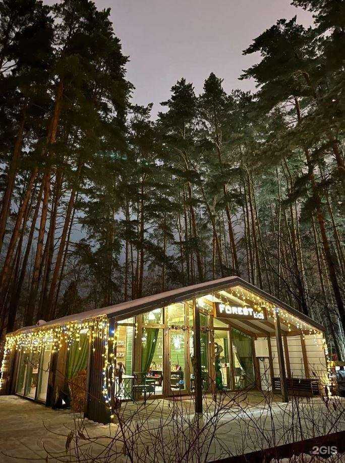 Отзывы на компанию Forestkids в Одинцове c фото