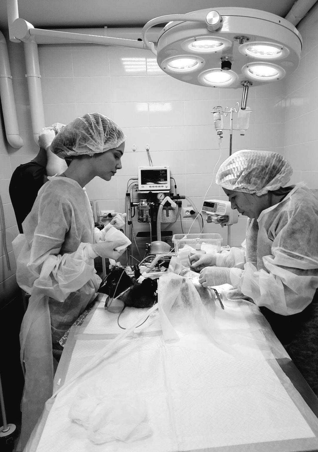 Отзывы на компанию 9 жизней в Ульяновске c фото