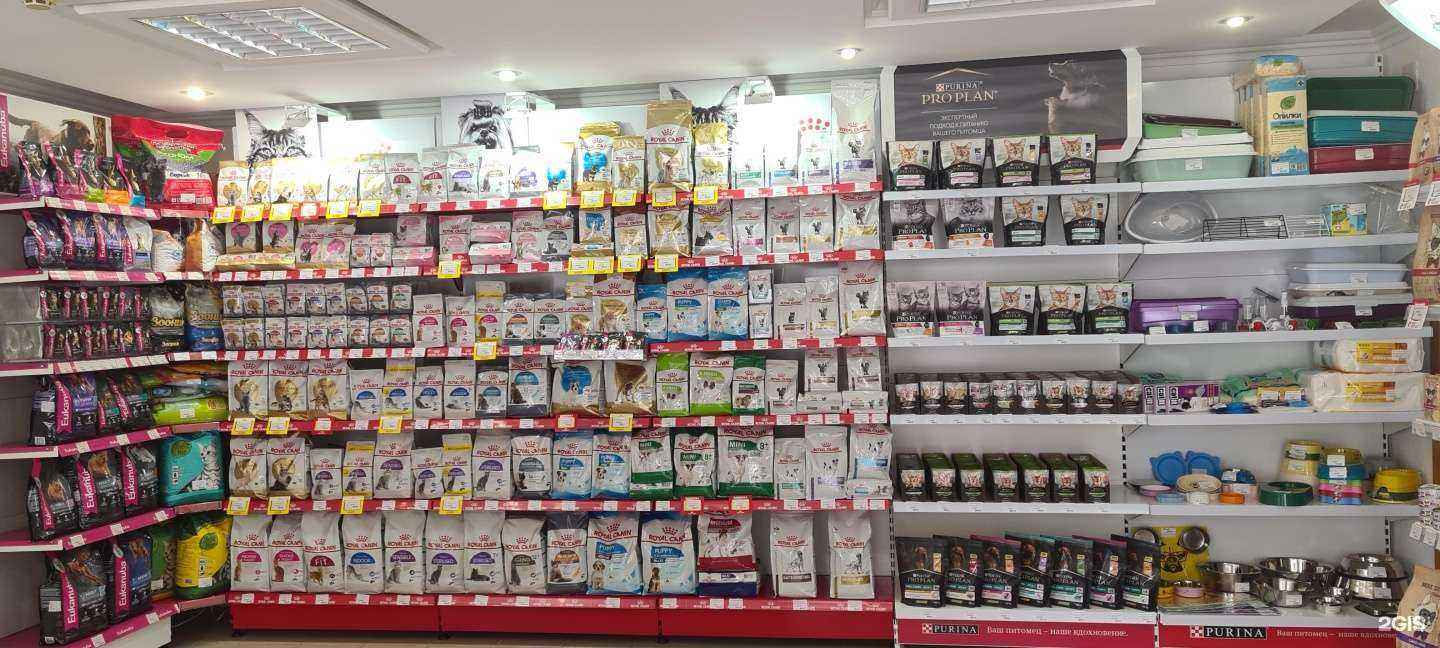 Отзывы на компанию Зоомир в г. Курск c фото