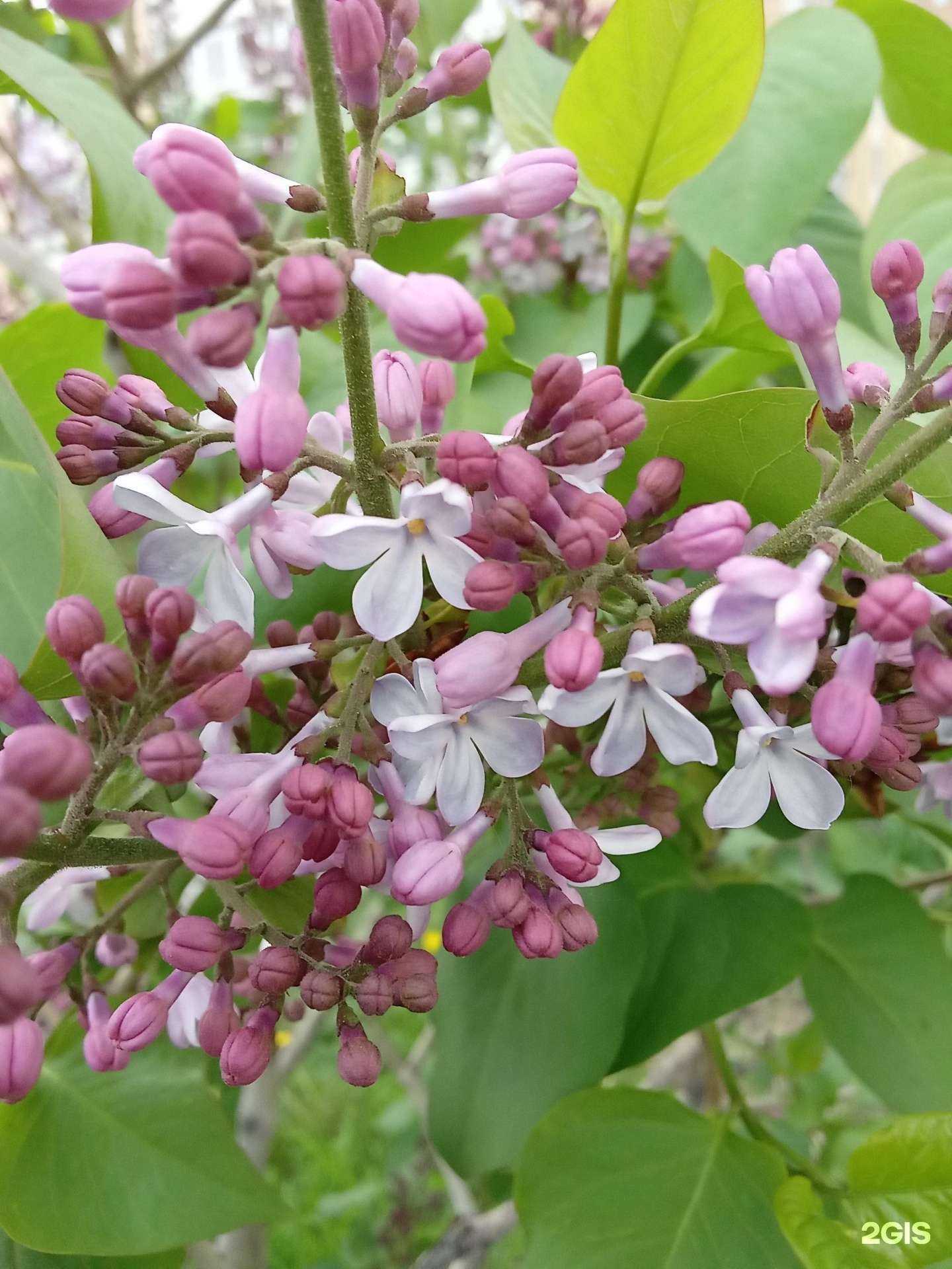 Отзывы на компанию Нова в Сургуте c фото - фотография 2 из 2