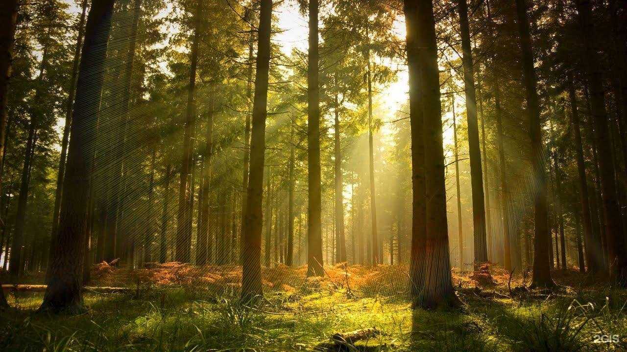 Отзывы на компанию Baltimor в г. Иваново c фото