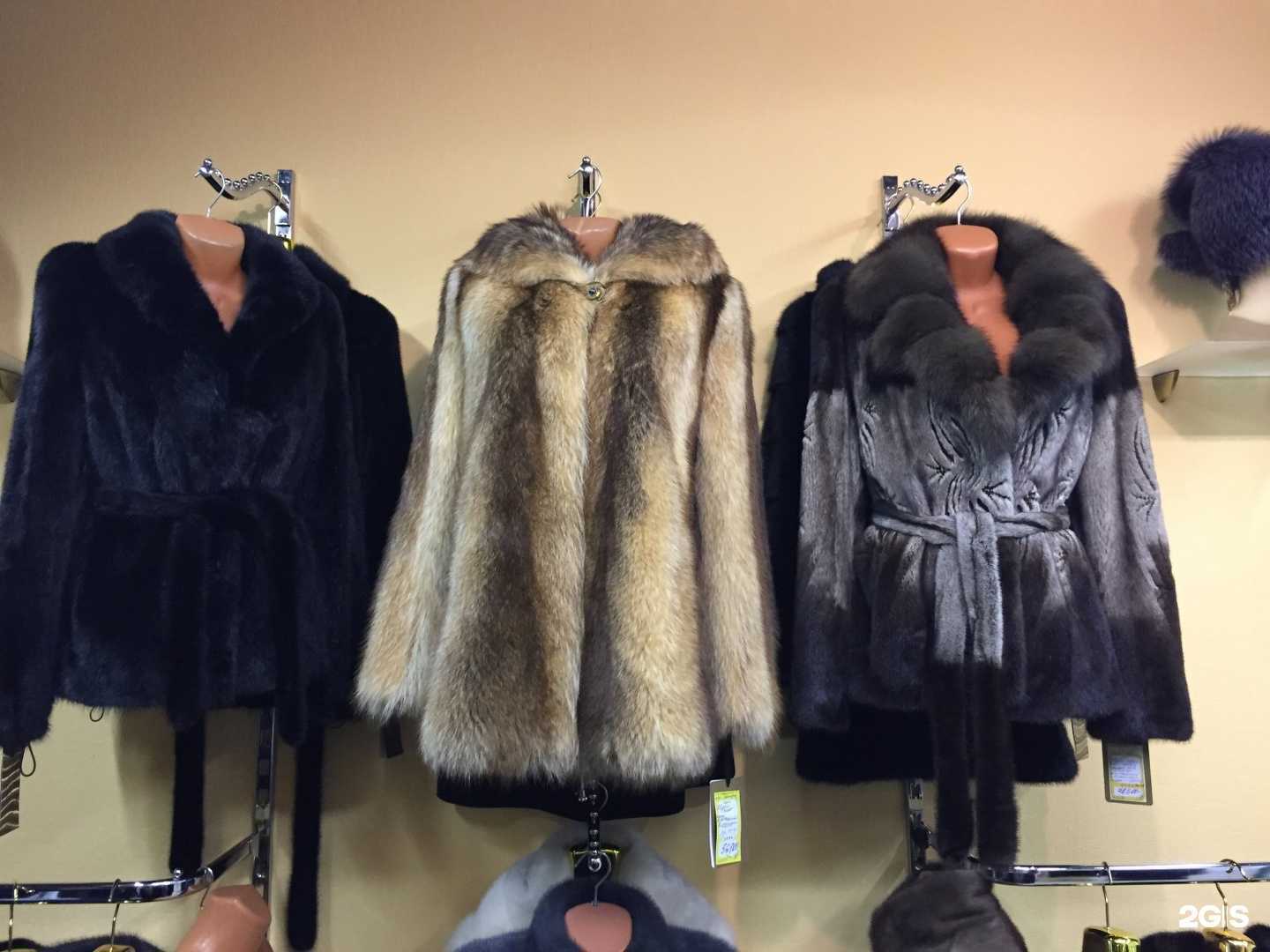 Отзывы на компанию Багира в Туле c фото