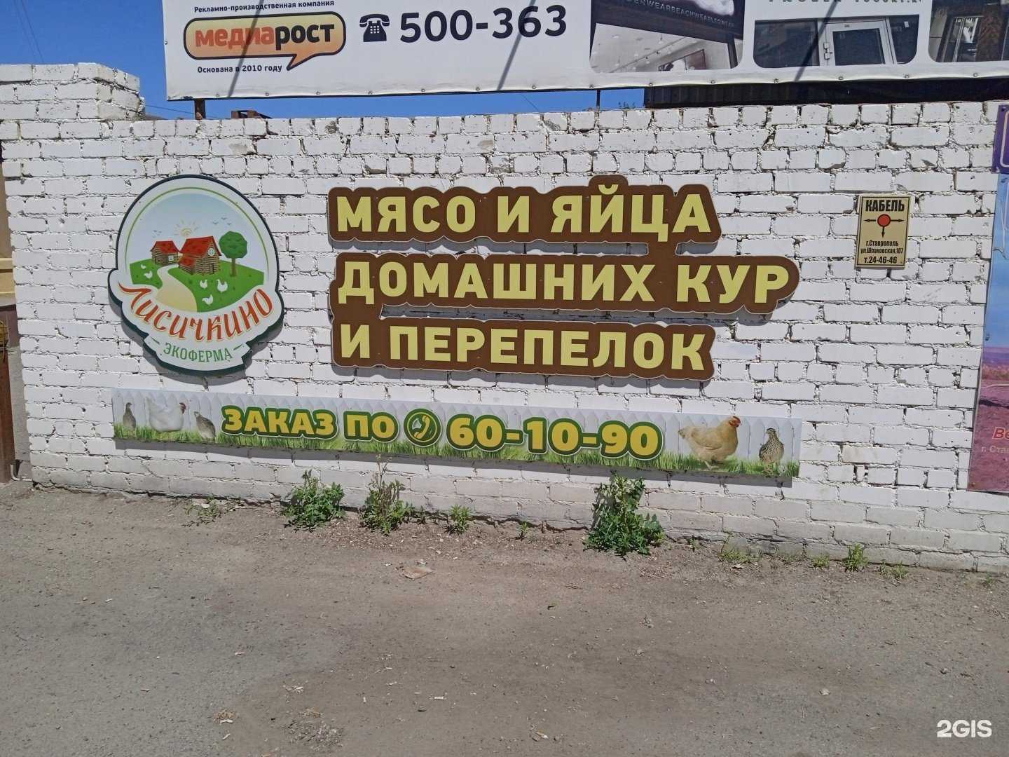 Отзывы на компанию Лисичкино в Ставрополе c фото