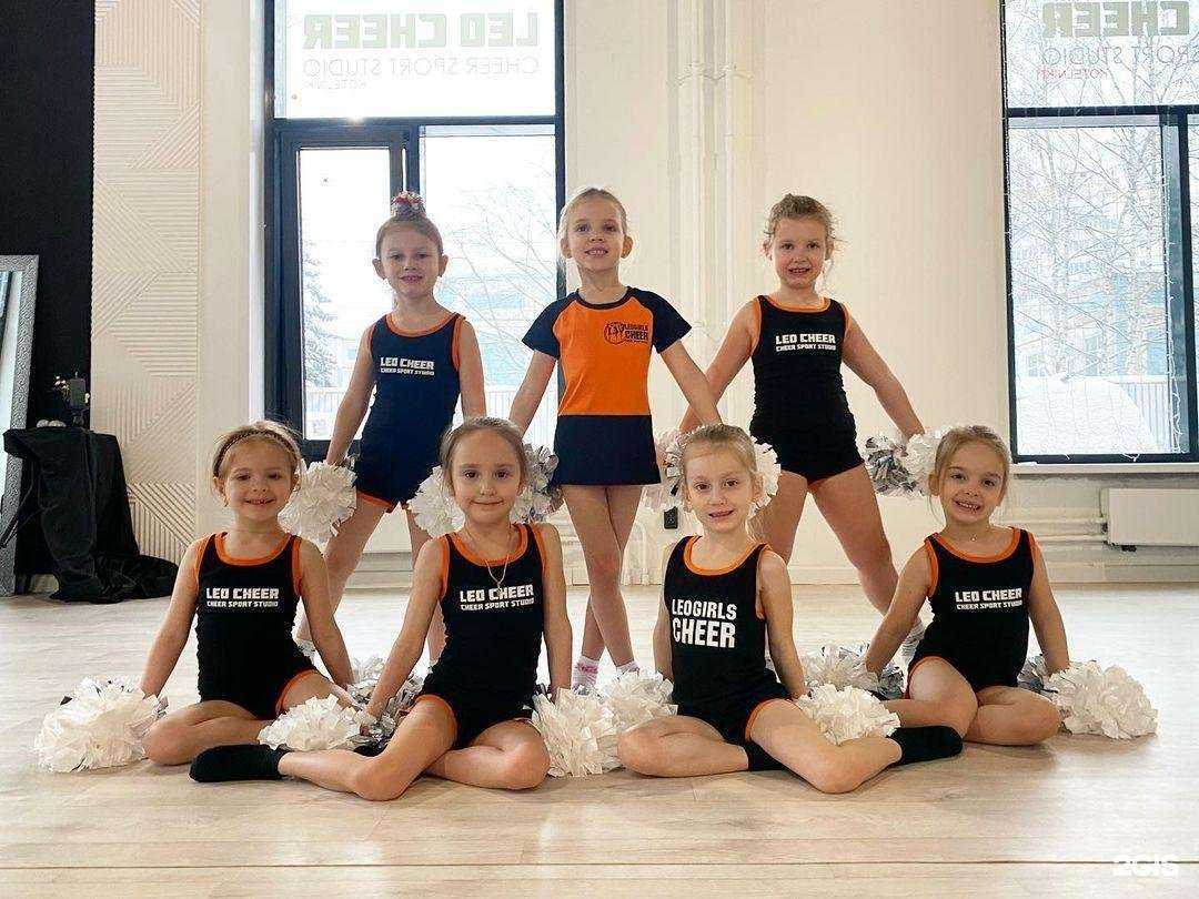 Отзывы на компанию Leo сheer в Котельниках c фото