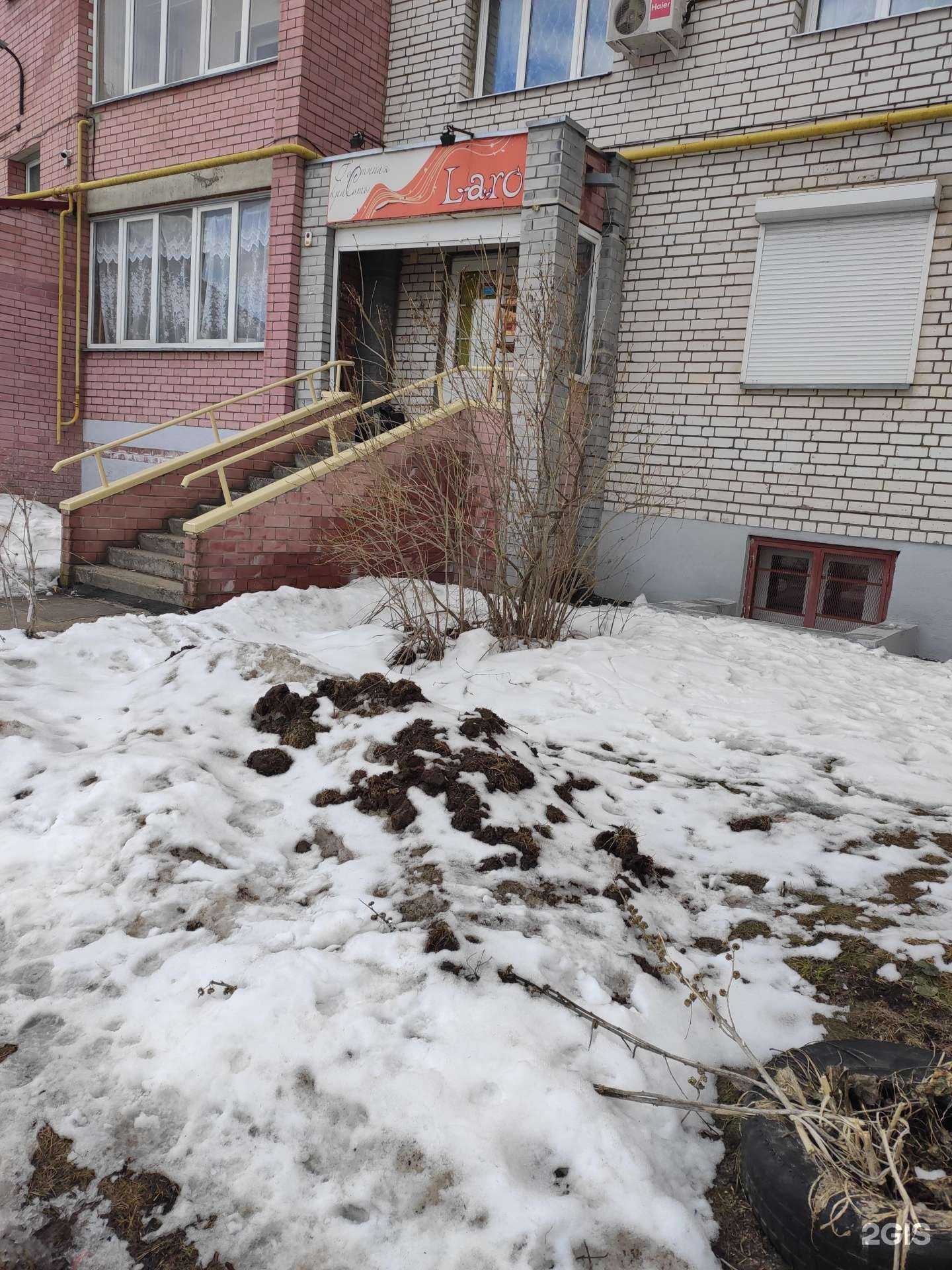 Отзывы на компанию Laro в Кстове c фото