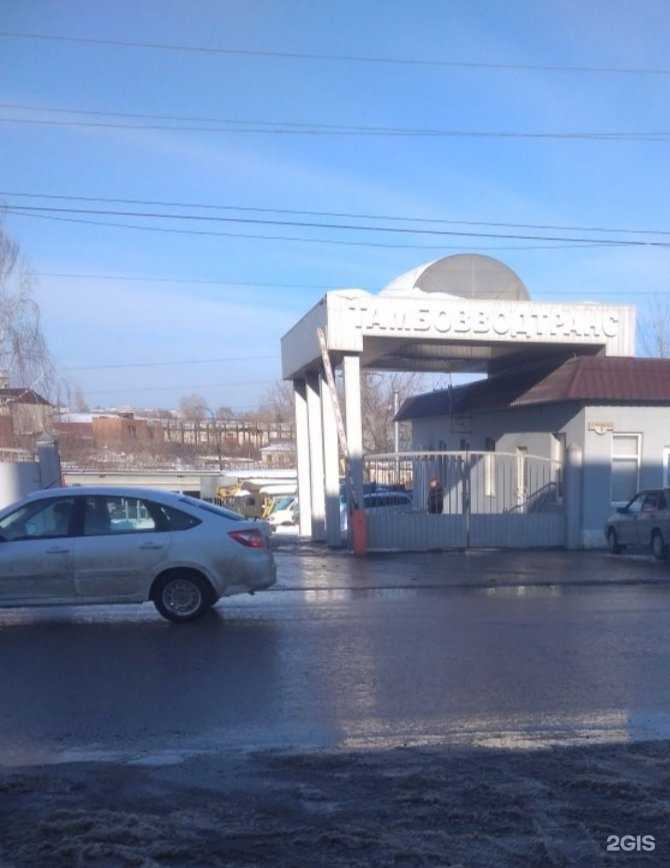 Отзывы на компанию Волшебная рыбка в Тамбове c фото