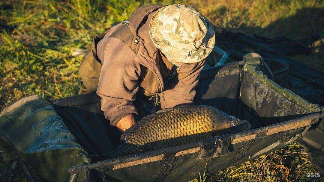 Отзывы на компанию Карптэкл в Краснодаре c фото
