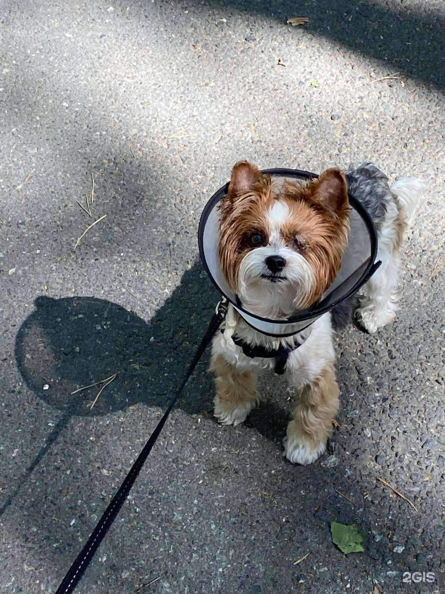 Отзывы на компанию ВетКом в Тюмени c фото