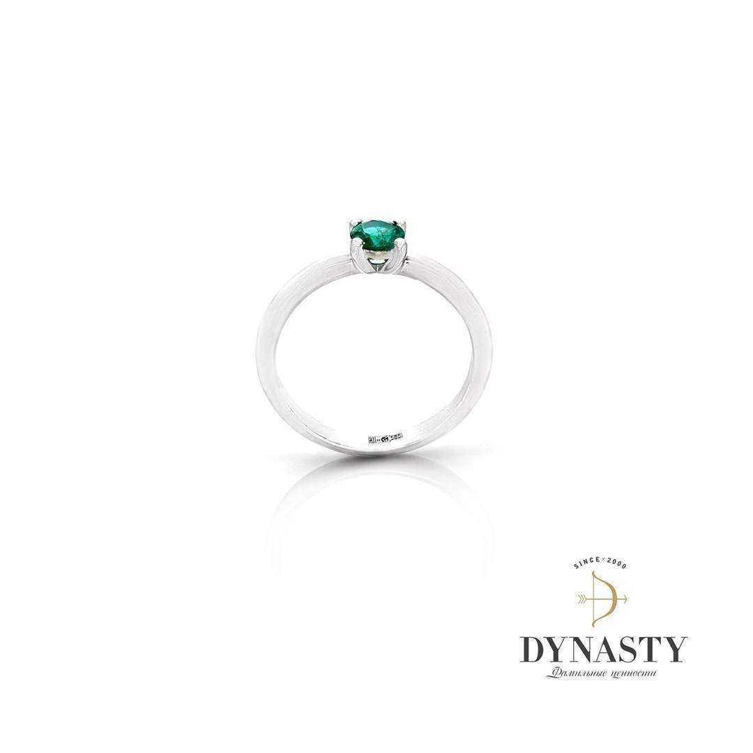 Отзывы на компанию Династия в Красноярске c фото