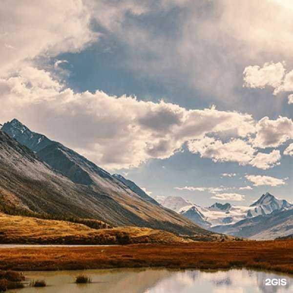 Отзывы на компанию Беркана в Екатеринбурге c фото