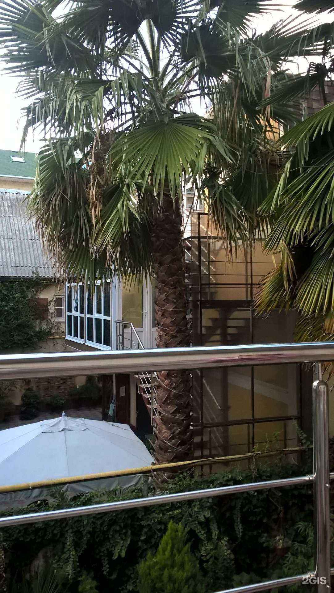 Отзывы на компанию Аладан в Сочи c фото - фотография 2 из 2