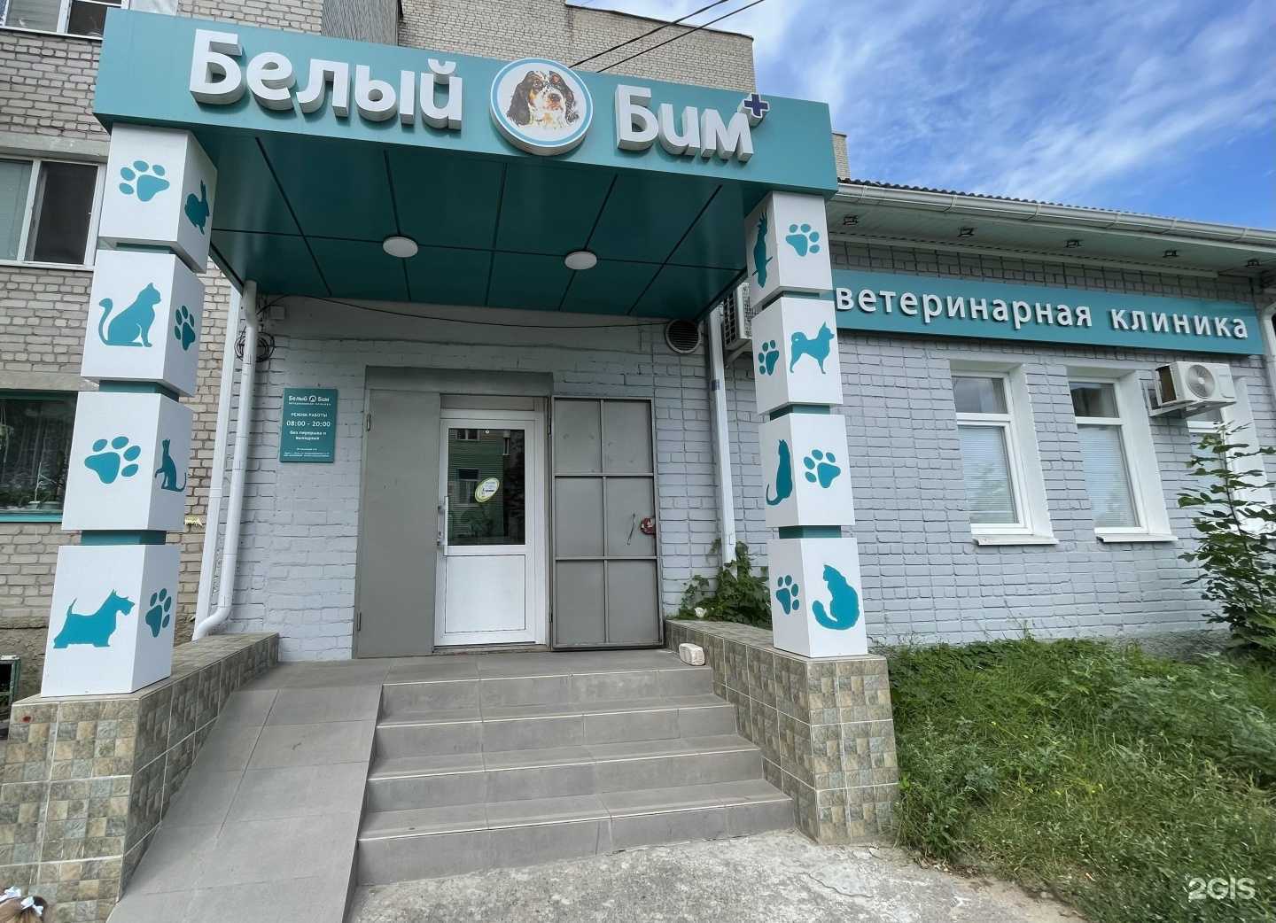 Отзывы на компанию Белый Бим в г. Лиски c фото