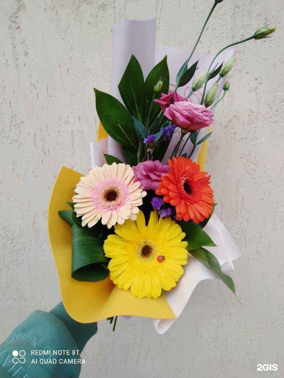 Отзывы на компанию Елена в г. Тольятти c фото