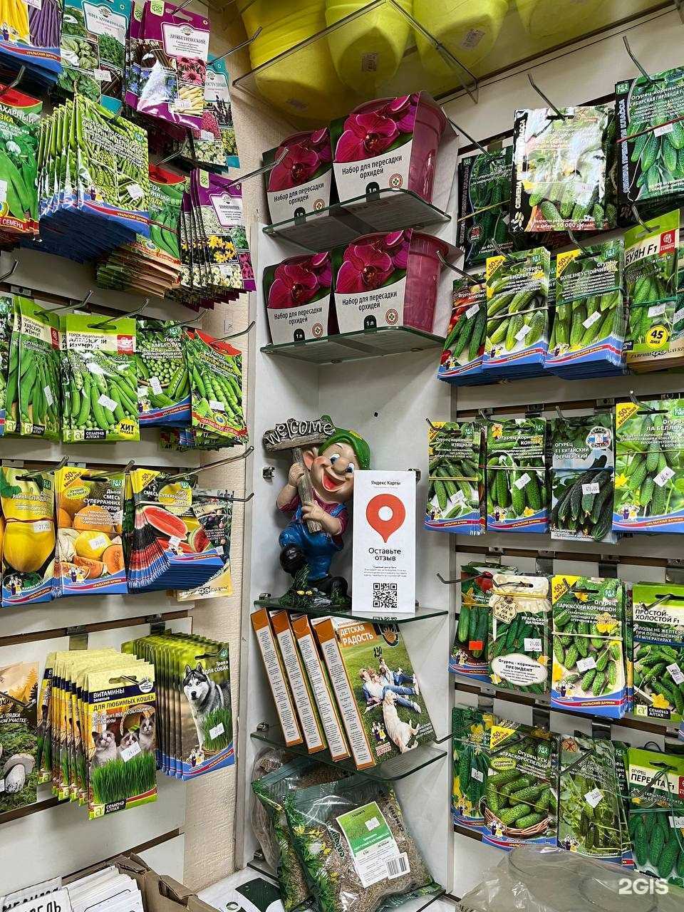 Отзывы на компанию Лето в г. Киров c фото